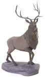 c-elk.jpg (15835 bytes)