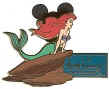 Ariel - WDCS 2006 pin