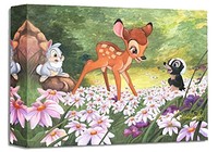 The Joy a Flower Brings