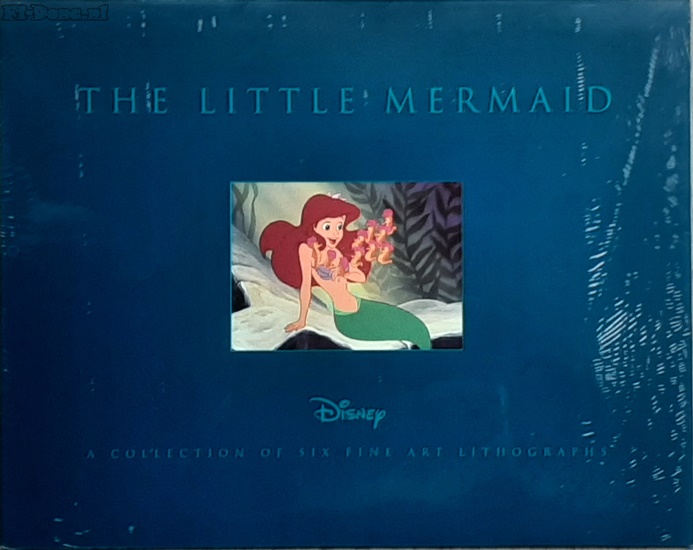 Little Mermaid portfolio