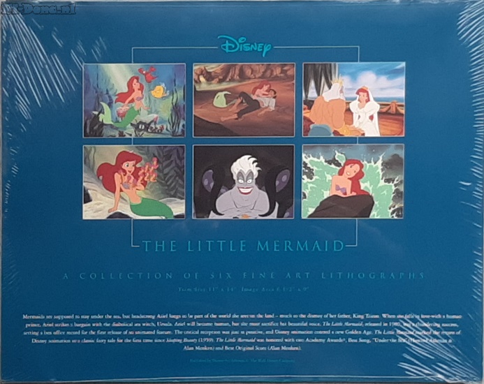 Little Mermaid portfolio - Click Image to Close