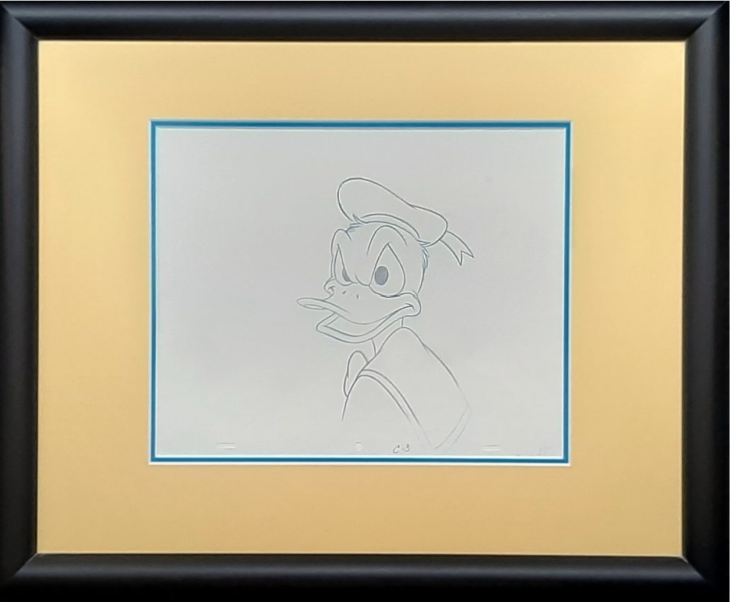 Donald Duck Drawing Careers