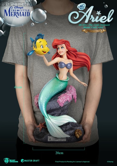 Little Mermaid- Ariel & Flounder